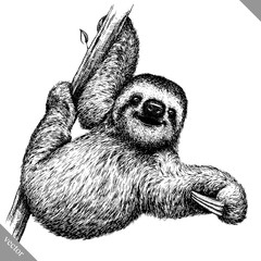 Sticker - black and white engrave isolated sloth vector illustration