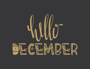 Wall Mural - Poster with Hello december quote isolated.