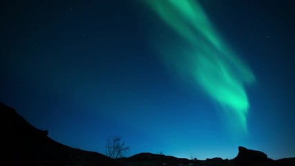 Wall Mural - realistic aurora borealis over dark minimal rocky landscape, iceand.mov