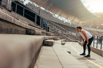 Wall Mural - athlete working out in the stands of a stadium
