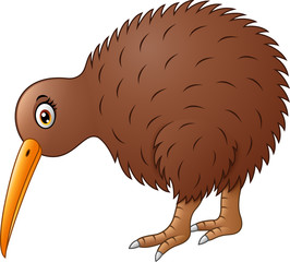 Wall Mural - Cute kiwi bird cartoon