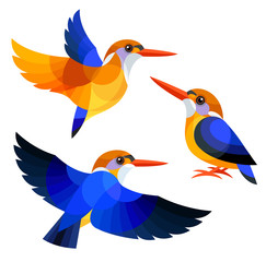 Wall Mural - Stylized Birds - African Dwarf Kingfisher