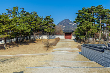 Wall Mural - Beautiful view at Gyeongbok Palace