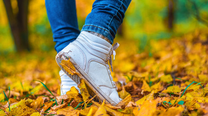 A man stops walking. The girl's girlfriend's. Hot girls on the nature in the park among the leaves of yellow. Autumn park in bright colors