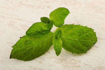 Mint leaves