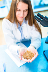 Canvas Print - Selective and genetic work with seeds and grains in a scientific laboratory. Food quality control