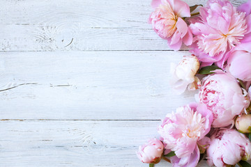 Wall Mural - Pink flowers peonies on a white wooden background, space for greeting text