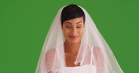 Wall Mural - Portrait of beautiful young bride in wedding dress and veil on green screen. On green screen to be keyed or composited. 