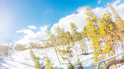 Fototapete - Alpine skiing