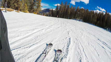 Fototapete - Alpine skiing
