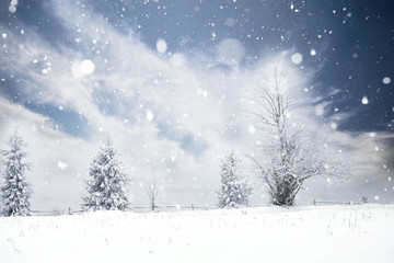 Trees covered with hoarfrost and snow in winter mountains - Christmas snowy backgroundic holiday background