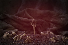 Skull And Skeleton On Ground Dry Soil Dark Background,concept Halloween Background.