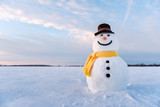 Fototapeta Na sufit - Funny snowman in stylish hat and yellow scalf on snowy field. Merry Christmass and happy New Year!