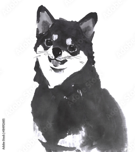 黒柴 水墨調 Stock イラスト Adobe Stock 黒柴 水墨調 Stock イラスト Adobe Stock