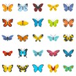 Butterfly icons set. Flat illustration of 25 butterfly vector icons isolated on white background