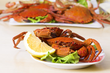 seafood, crabs with lettuce and lemon