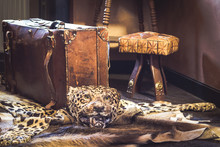 Vintage Suitcase, Predator's Skin And African Stool - Still Life Photo. Travel And Adventure Concept