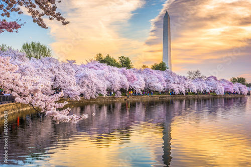 Fototapeta na szkło Waszyngton DC, USA wiosną