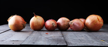 Large Onion Harvest Bulb Onion Is Rich In Vitamins, Useful Spring.