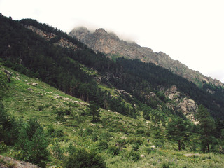 Mountains covered with green trees. Summertime. Retro photo. Uzunkol Valley, Caucasus Mountains, Karachay-Cherkessia, Russia.