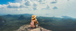 Young woman with backpack enjoying breathtaking view of the landscape from the top of mountain. Travel comcept. Back view. Banner edition.