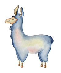 Wall Mural - Cute Llama cartoon character watercolor illustration, Alpaca animal, hand drawn style.  Isolated white background