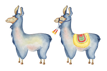 Wall Mural - Cute Llama cartoon characters set watercolor illustration, Alpaca animals, hand drawn style.  Isolated white background