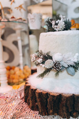 The wedding buffet is decorated in the winter theme.