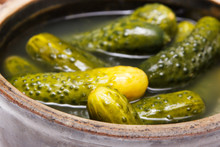Fresh Homemade Pickled Cucumbers In Clay Pot