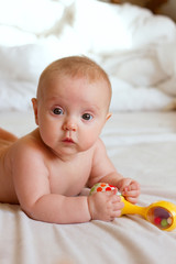 Wall Mural - Newborn baby lying on the bed naked, playing with toy and looking to the camera