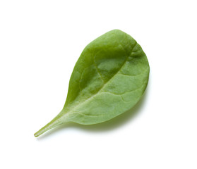 Wall Mural - Spinach Isolated on a white background