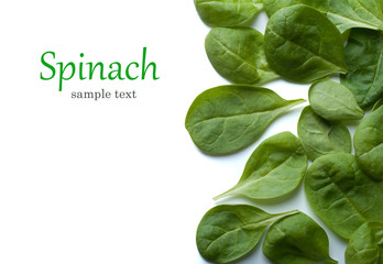 Poster - Spinach Isolated on a white background