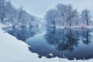 Wall Mural - winter forest on the river at sunset. colorful landscape with snowy trees, river with reflection in 