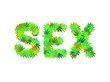 SEX word isolated on the white background made from cannabis leaves