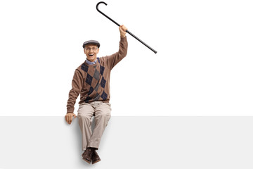 Wall Mural - Joyful elderly man with a cane sitting on a panel