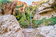 David's waterfall at Ein Gedi Nature Reserve, Israel.