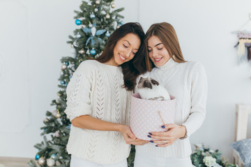 Wall Mural - Two happy, stylish and beautiful girls opened Christmas gifts and received the rabbit.