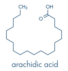 Poster - Arachidic (eicosanoic) acid molecule. Saturated fatty acid. Skeletal formula.