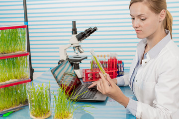 Wall Mural - scientist with green plant in modern laboratory. woman study of genetic modified GMO plants in the laboratory