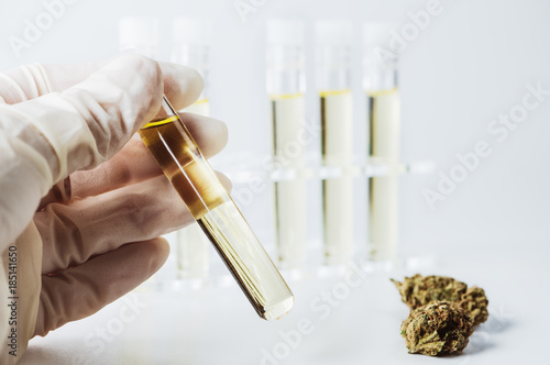 Fotomural Medizinisches Cannabis Öl im Labor