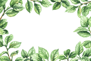 Wall Mural - Green Branches Rectangle Frame