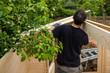 © Eléonore H - construction chalet de jardin