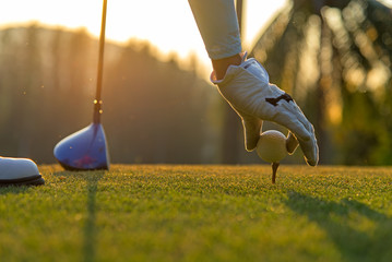 hand asian woman putting golf ball on tee with club in golf course on evening and sunset time a for 