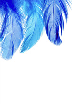 Vertical Natural Backdrop Of A Beautiful Fairy With Bright Blue Feathers On A White Isolated