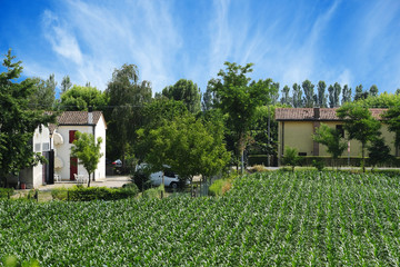 Poster - Farm in Rovigo, Italy