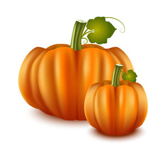 Poster - Realistic Detailed 3d Pumpkins Set. Vector