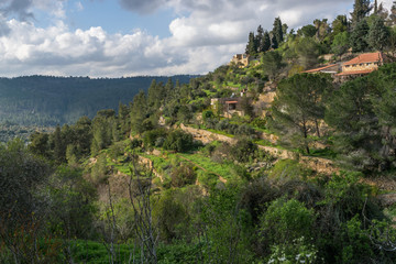 Poster - Ein Karem nature