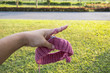 © Nipaporn - Knitting pink color yarn in a park in the fresh air.