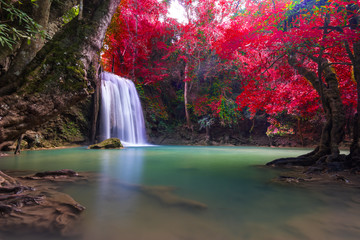 Waterfall at colorful autumn forest. Waterfall beautiful asia southeast asia.