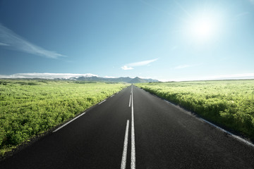 Wall Mural - road in summer Iceland